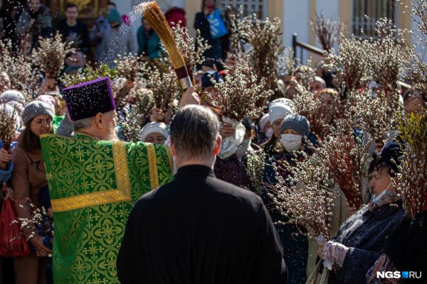 Верба на Вербное воскресенье