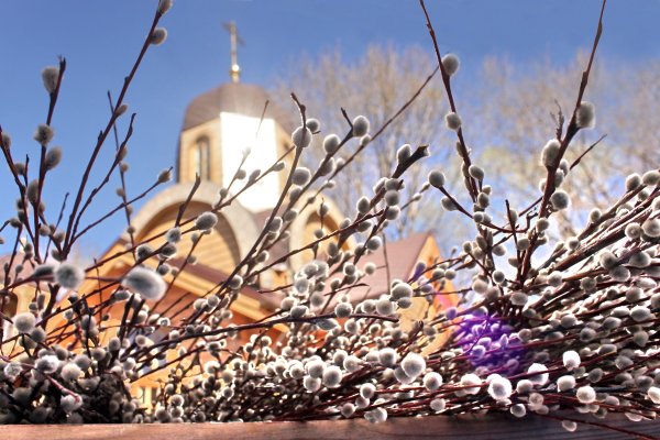 Верба Церковь