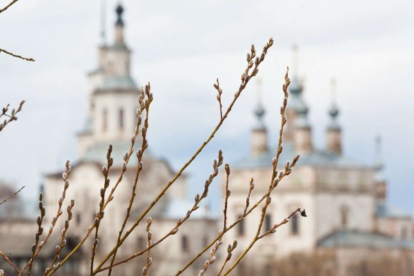 Вербное воскресенье служба в храме