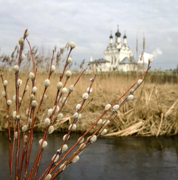 С Вербным воскресеньем Верба и храм