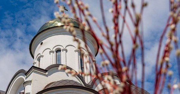С Вербным воскресеньем открытки