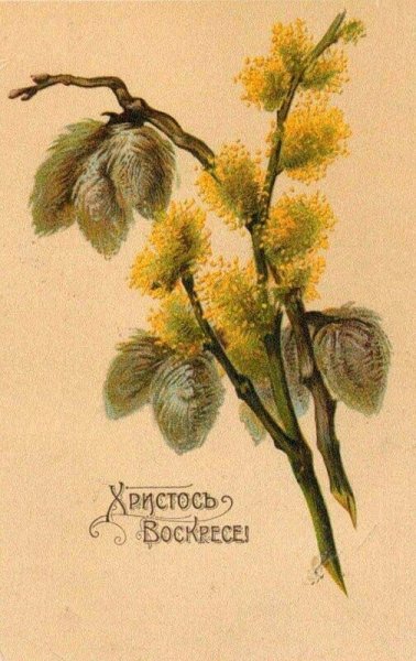 С Вербным воскресеньем