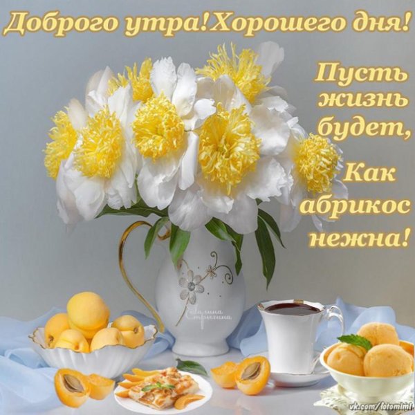 Доброго воскресного утра и хорошего