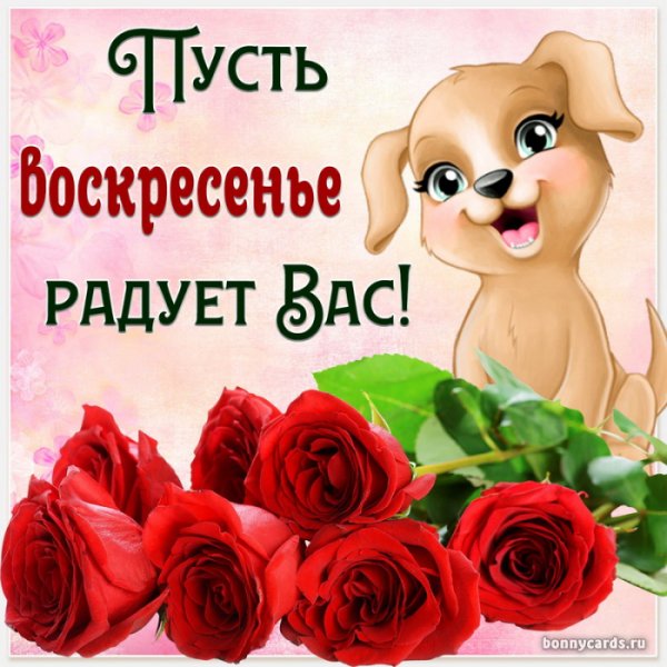 Открытки отличного воскресенья
