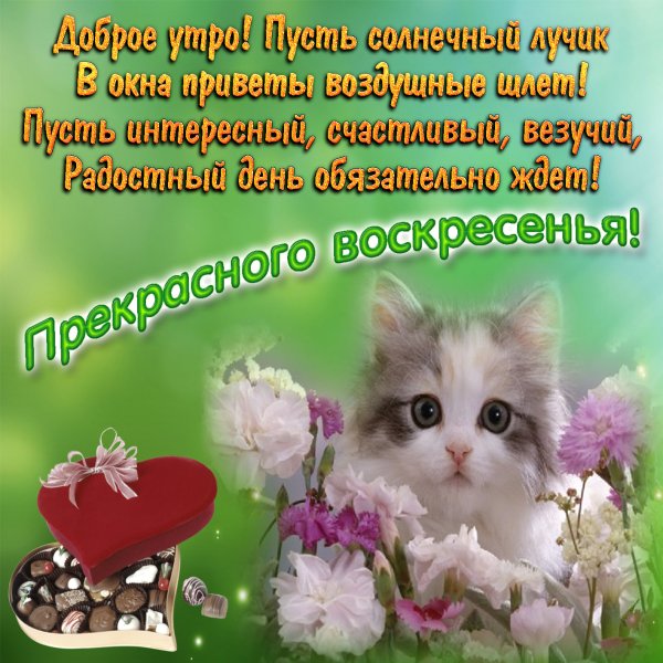 Открытки с добрым воскресным утром