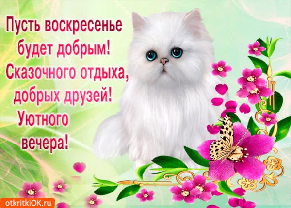 Поздравление с воскресеньем