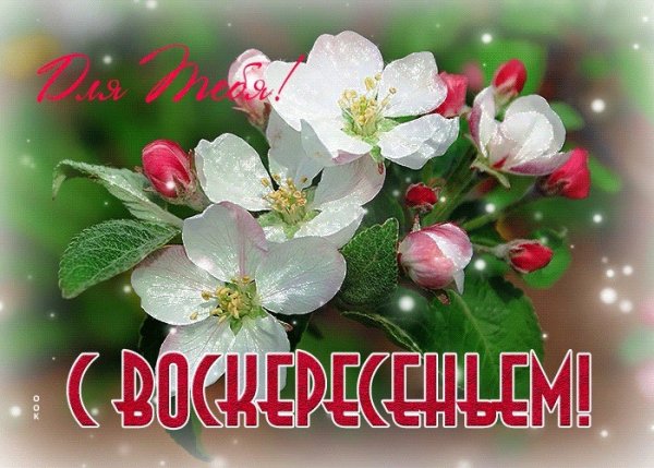 Прекрасного воскресного дня