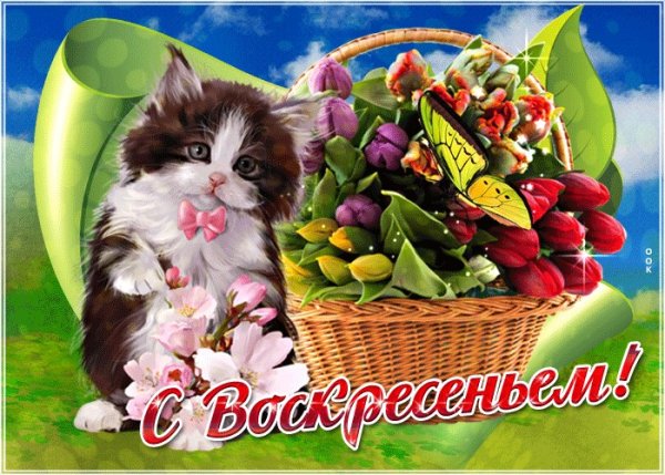 Доброго воскресного дня