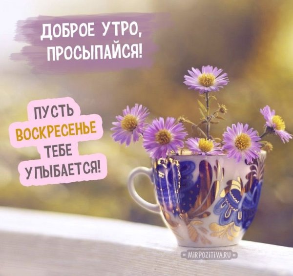 Доброго радостного дня и хорошего настроения