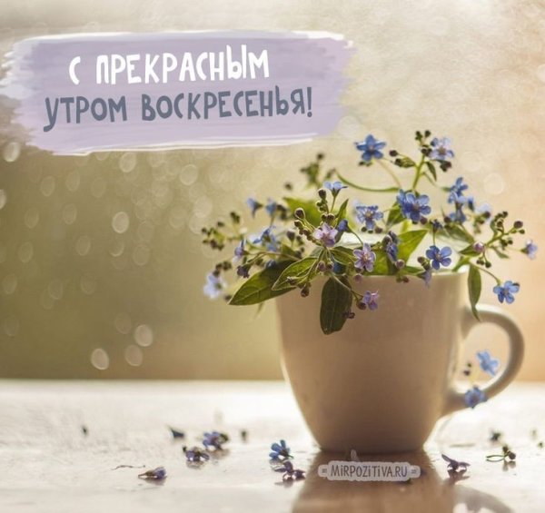 Доброе утро прекрасного дня
