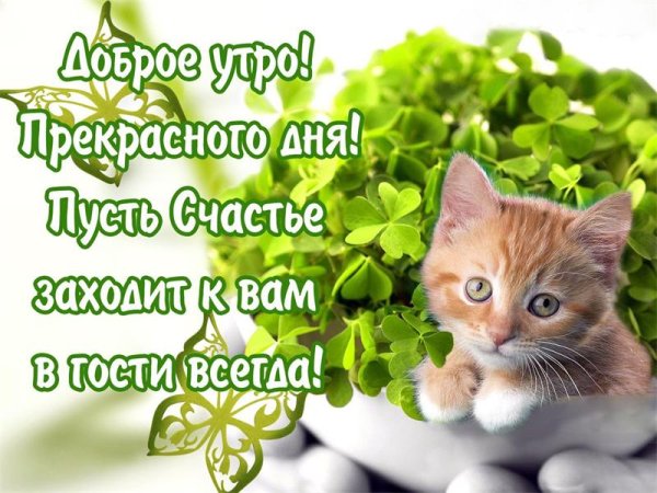 Стихи с добрым утром