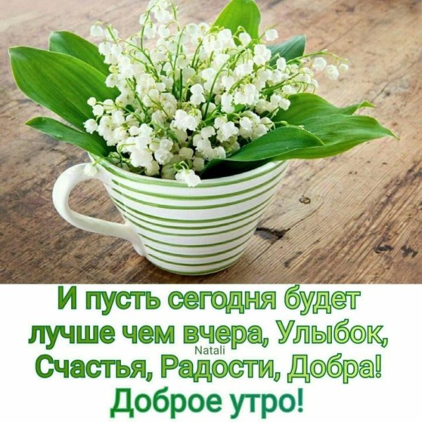 Доброго солнечного утра и чудесного дня