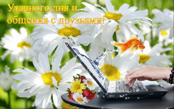 Доброго воскресного утра и прекрасного дня