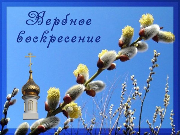 Открытки с вербой