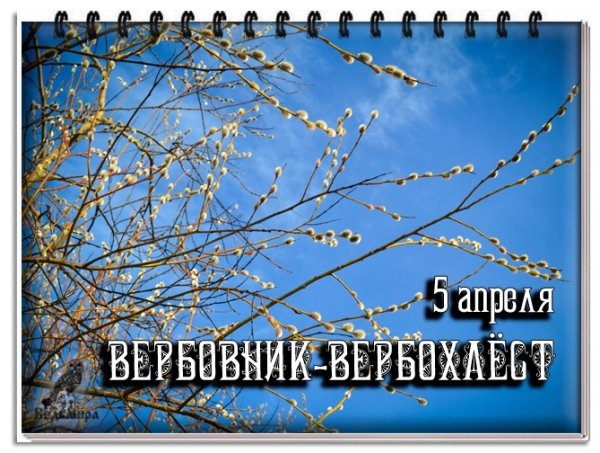 Верба Верба Вербохлест