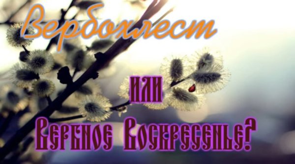 Вербохлест праздник