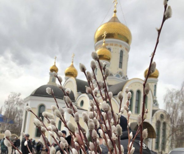 Иверский монастырь Верба