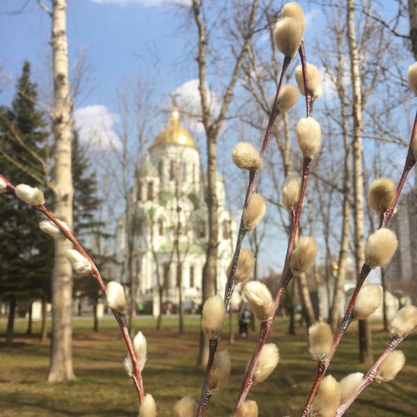 Лавра Сергиев Посад Вербное воскресенье