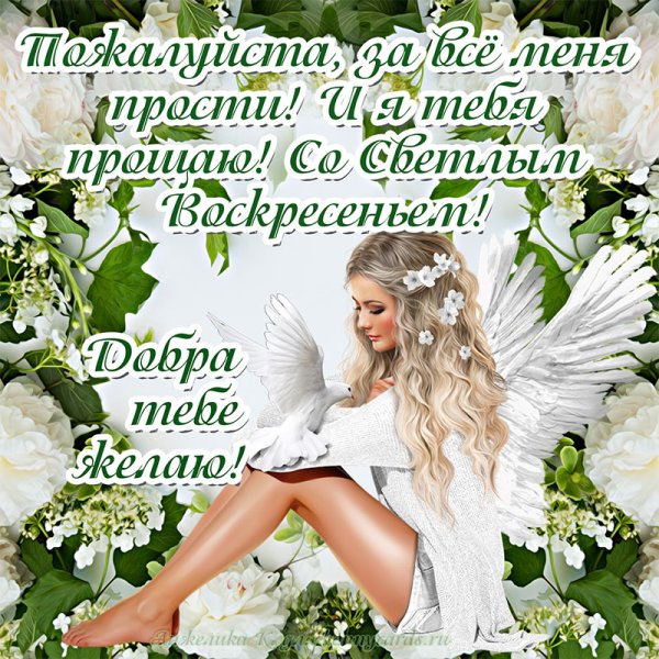 Прощенное воскресенье Ангелочек