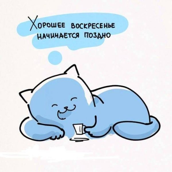 Воскресенье утро приколы