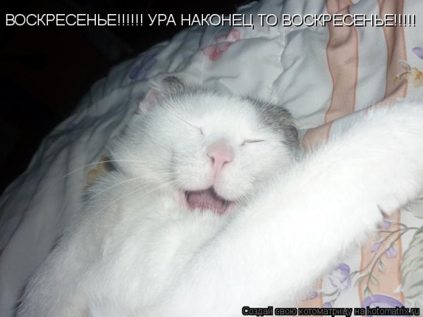 Ура воскресенье