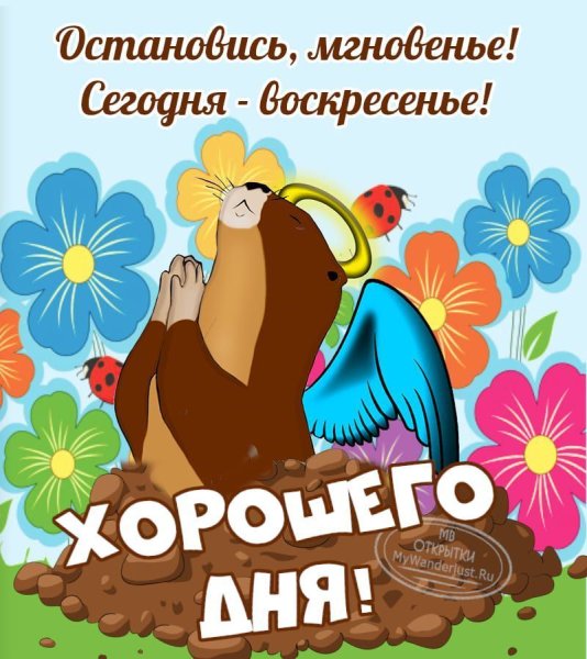 Открытки с воскресеньем шуточные