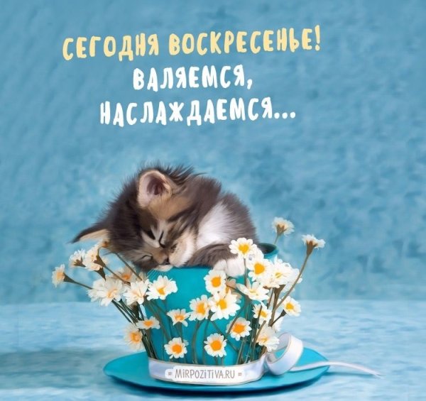 Доброе воскреснее утро