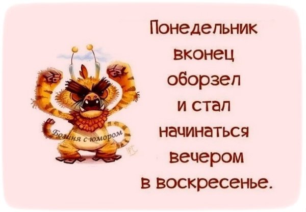 Вечер воскресенья юмор