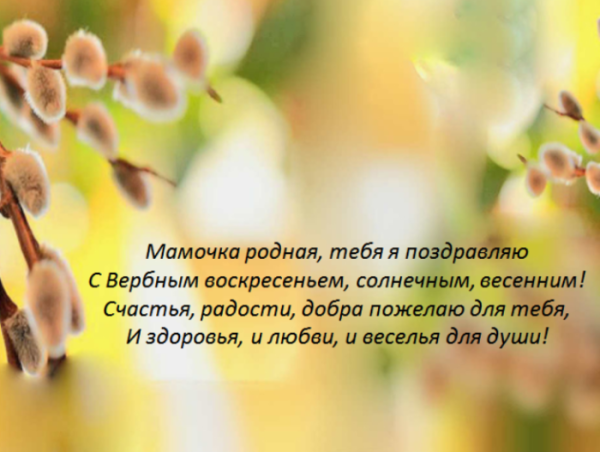 С Вербным воскресеньем мамочка