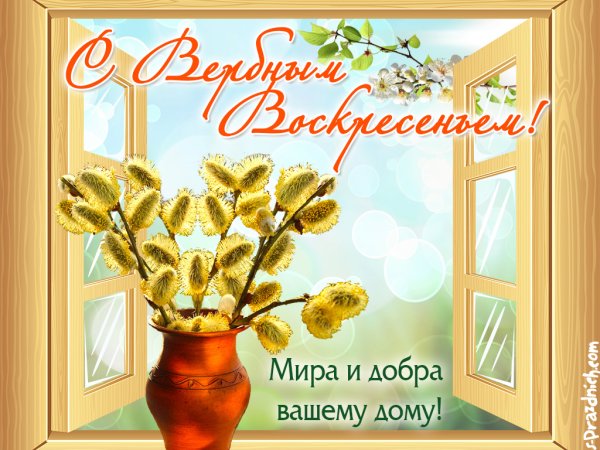 С добрым Вербным воскресеньем