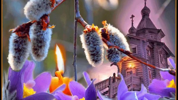 Ветка вербы в вазе
