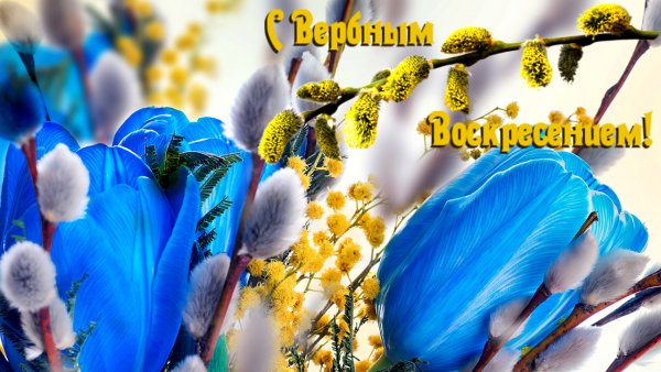 Открытки Вербное воскресенье 2019