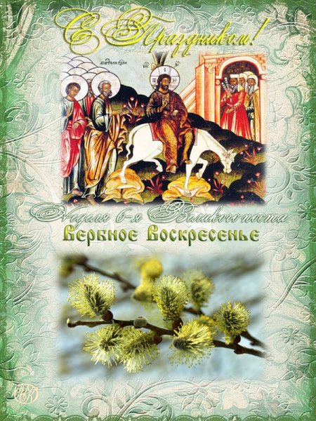 Открытки с Вербной неделей