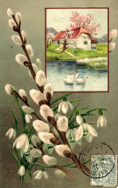 Открытки с вербой