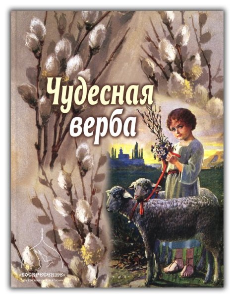 Верба и книга