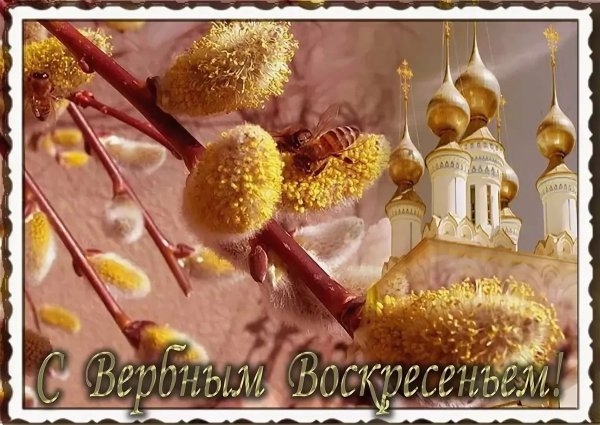 Веточка вербы с Вербным воскресеньем