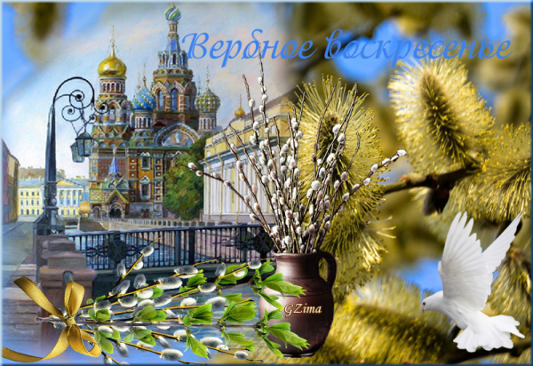 Букет вербы