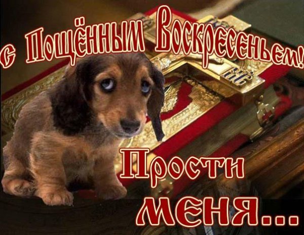 С прощенным воскресеньем