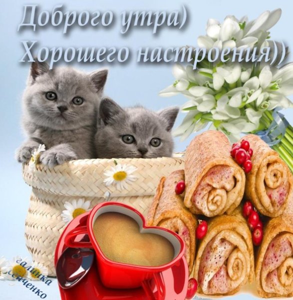 Доброе утро хорошего дня с котятами