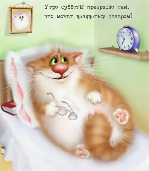 Смешные открытки с котиками