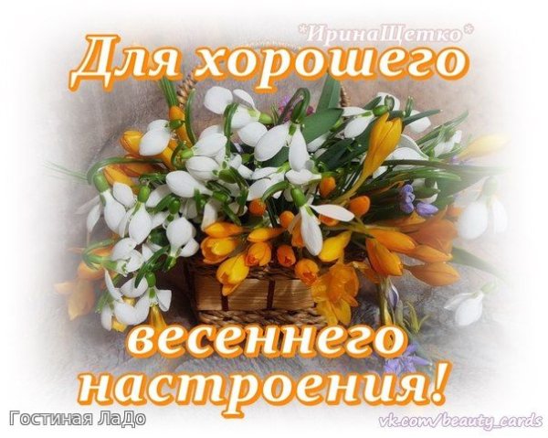 Солнечного весеннего настроения