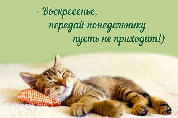 С воскресеньем прикольные