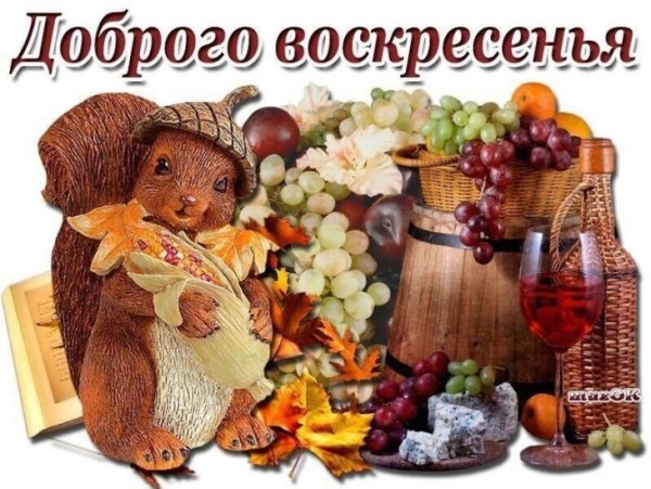 Хорошего воскресного дня и отличного настроения