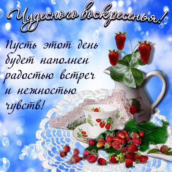 Поздравления с добрым днем красивые