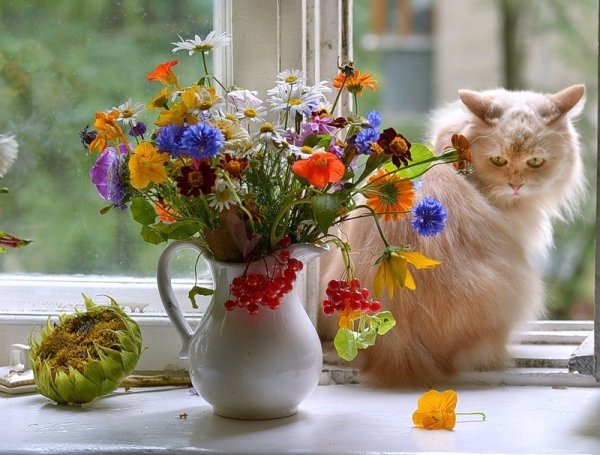 Прекрасного летнего утра и отличного настроения