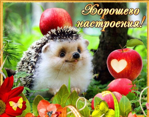 Хорошего дня Ежик