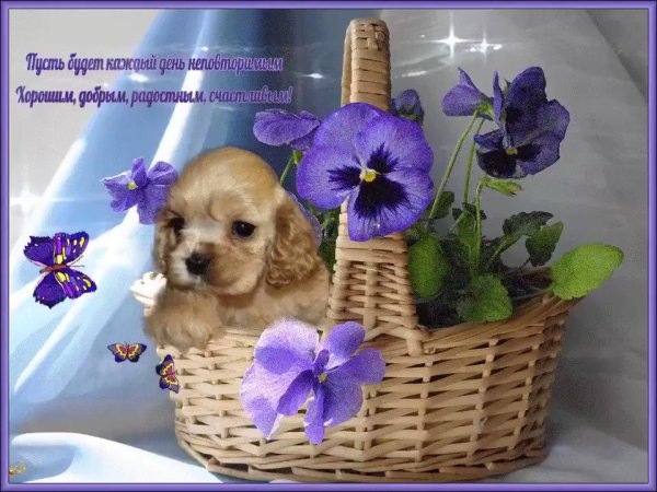 Открытки с добрым днём