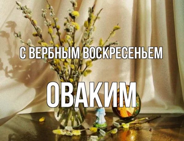 Верба на Вербное воскресенье