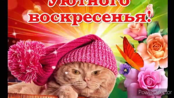 Отличного воскресенья