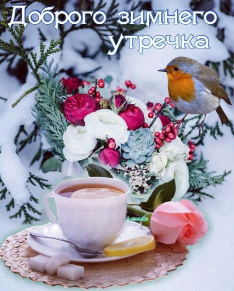Доброе зимнее утро
